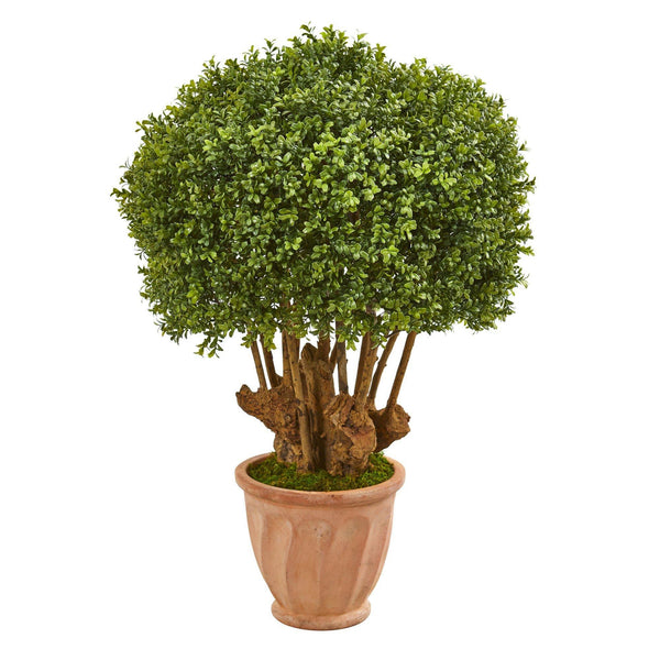 39” Boxwood Artificial Topiary Tree in Terracotta Planter (Indoor/Outdoor)