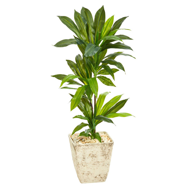 39” Dracaena Artificial Plant in Country White Planter (Real Touch)