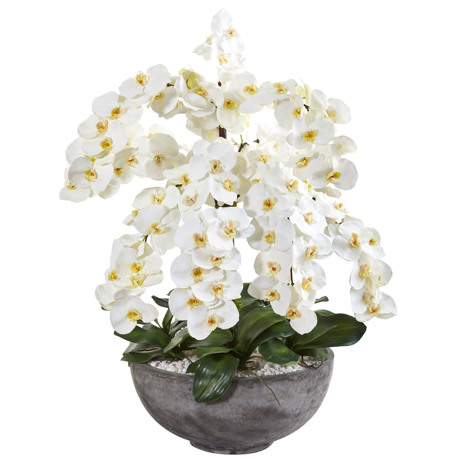 39” Phalaenopsis Orchid Artificial Arrangement in Large Cement Bowl