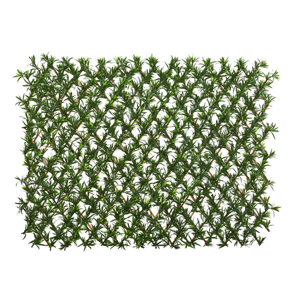 39” Podocarpus Expandable Fence UV Resistant & Waterproof Trellis