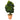 39” Schefflera Artificial Tree in Terra-Cotta Planter (Real Touch)