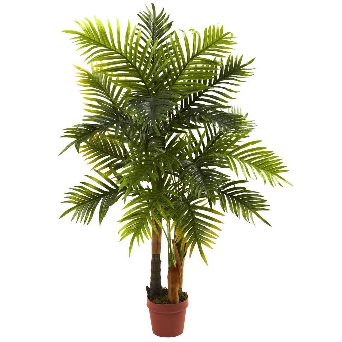 palm plant real 4' Areca Palm Tree (Real Touch)