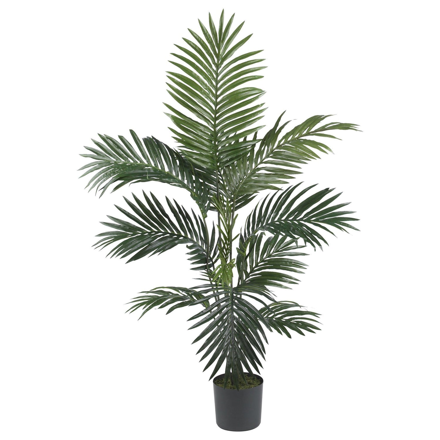 4' Faux Kentia Palm Silk Tree