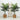 4' Artificial Paradise Palm Tree with Handmade Jute & Cotton Basket with Tassels DIY KIT - Set of 2