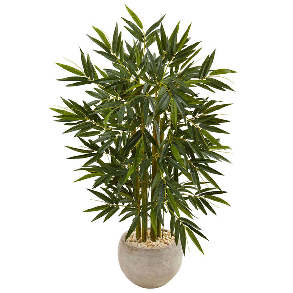 4’ Bamboo Tree in Sand Colored Bowl