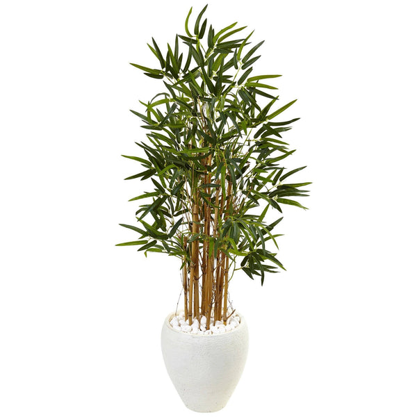 4’ Bamboo Tree in White Oval Planter