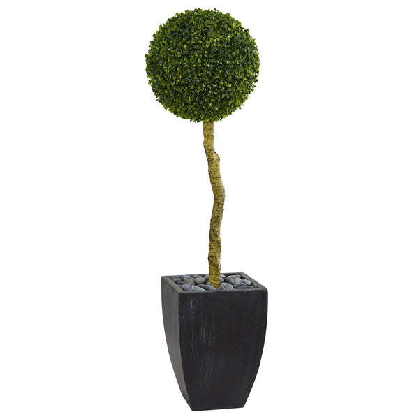 4’ Boxwood Ball Topiary Artificial Tree in Black Wash Planter (Indoor/Outdoor)