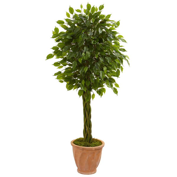 4’ Braided Ficus Artificial Tree in Terracotta Planter (Indoor/Outdoor)