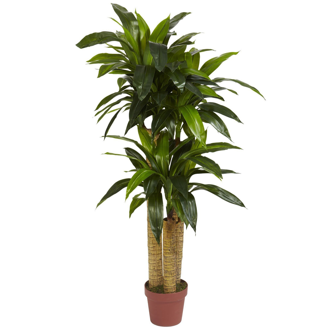 dracaena basement 4' Corn Stalk Dracaena Silk Plant (Real Touch)