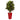 4’ Croton Artificial Plant in Red Planter