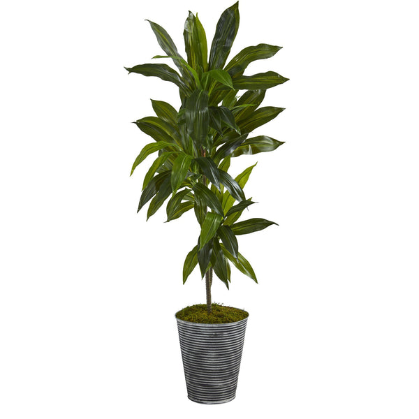 4’ Dracaena Artificial Plant in Decorative Tin Planter (Real Touch)