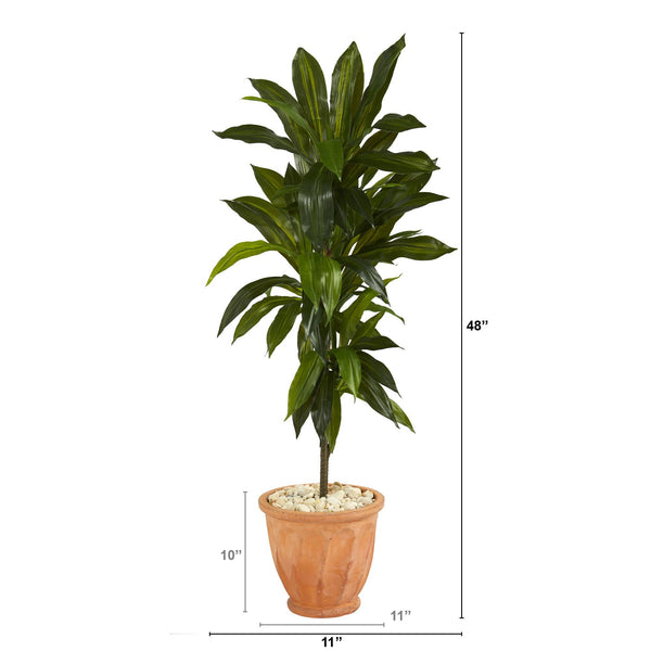 4’ Dracaena Artificial Plant in Terra-Cotta Planter (Real Touch)