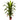 4' Dracaena Silk Plant (Real Touch)