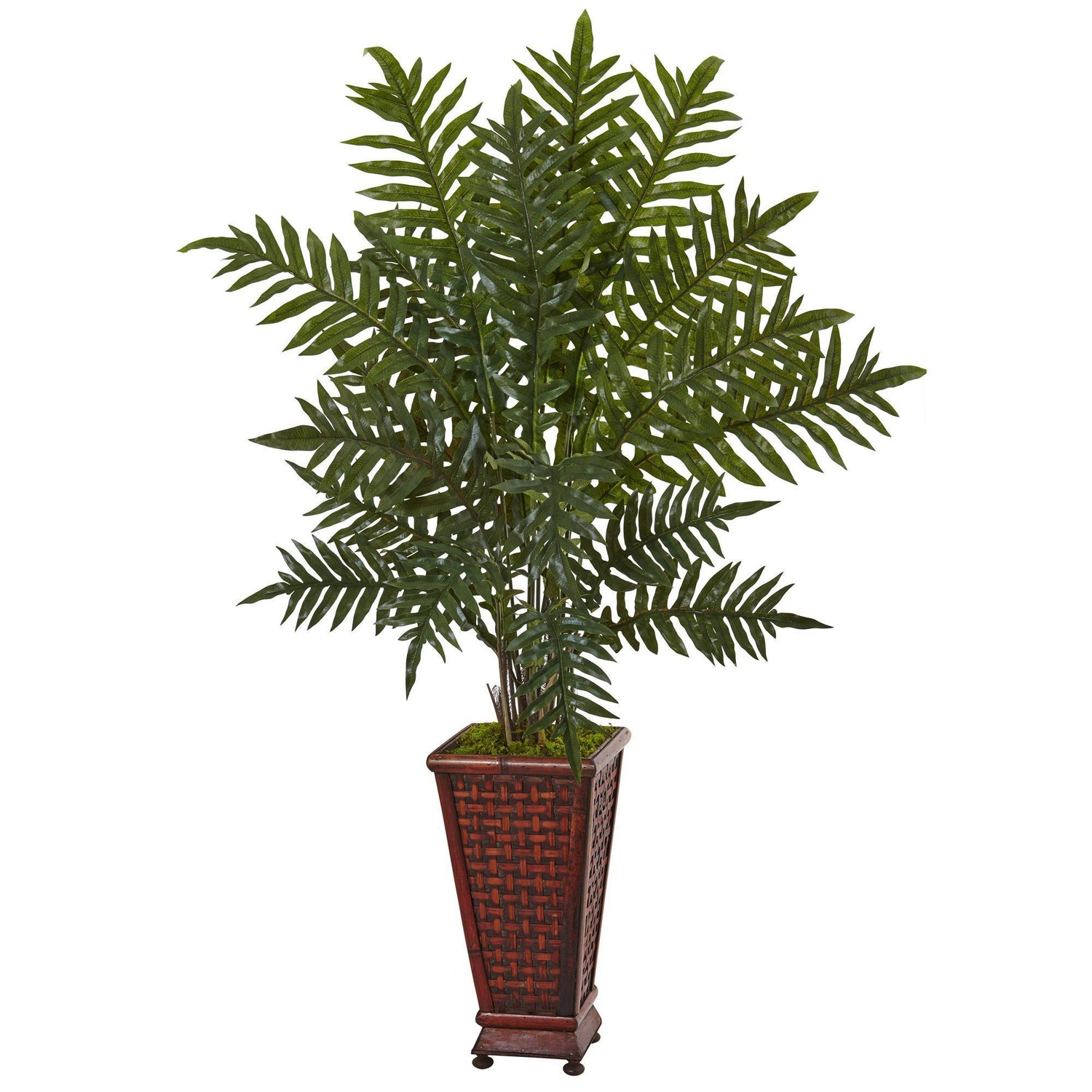 4’ Evergreen Plant in Round Wood Planter