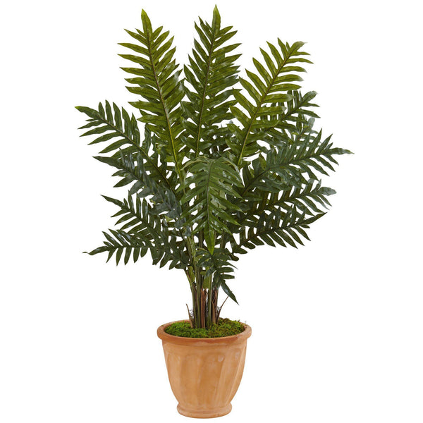 4’ Evergreen Plant in Terracotta Planter
