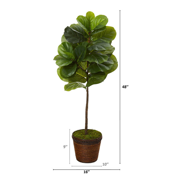 4’ Fiddle Leaf Artificial Tree in Coiled Rope Planter (Real Touch)