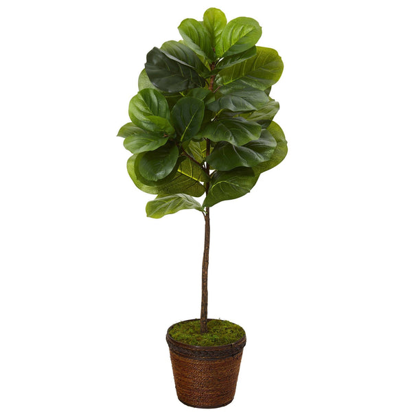 4’ Fiddle Leaf Artificial Tree in Coiled Rope Planter (Real Touch)