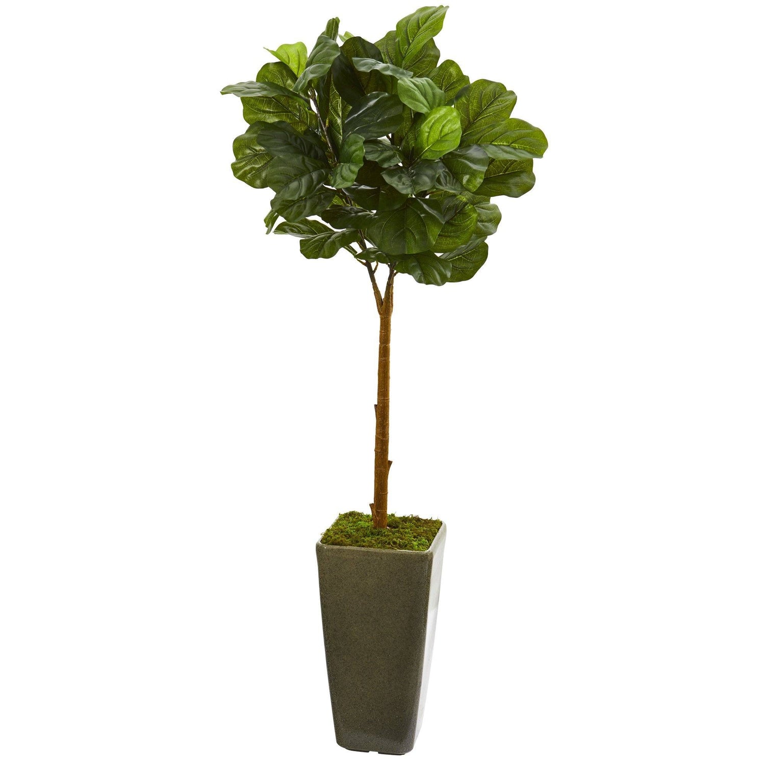 4’ Fiddle Leaf Artificial Tree in Green Planter (Real Touch)