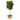4’ Fiddle Leaf Tree in Boho Chic Handmade Cotton & Jute White Woven Planter UV Resistant