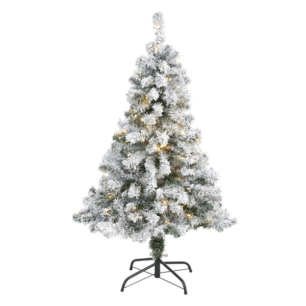 4' Flocked Rock Springs Spruce Artificial Christmas Tree with 100 Clear LED Lights