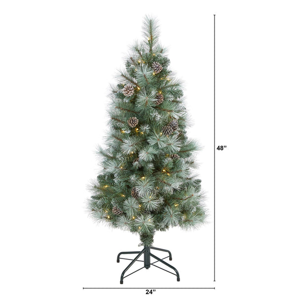 4’ Frosted Tip British Columbia Mountain Pine Artificial Christmas Tree with 100 Clear Lights, Pine Cones and 228 Bendable Branches
