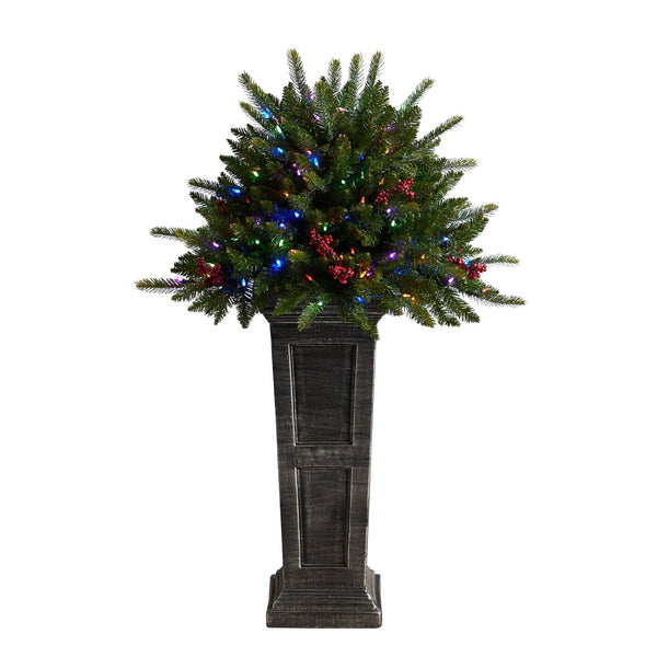 4' Holiday Christmas Tree Plant Pre-Lit and Glittered on Pedestal with 150 Multicolored LED lights