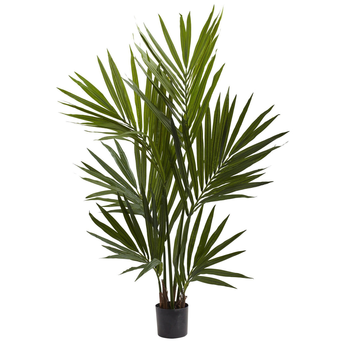 kentia palm plant for sale 4' Kentia Palm Silk Tree