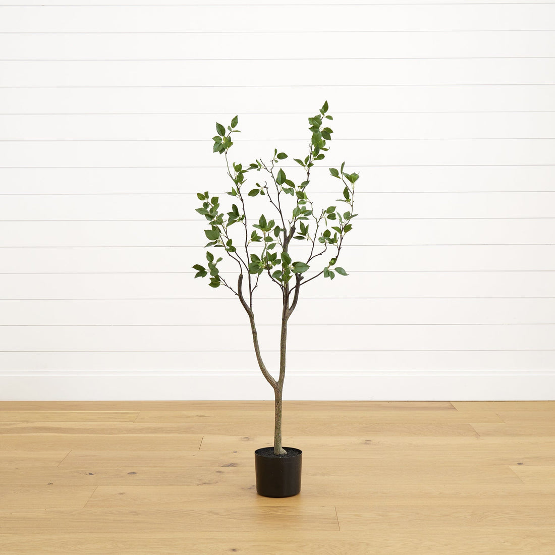 faux minimalist citrus potted plant 4' Minimalist Citrus Artificial Tree