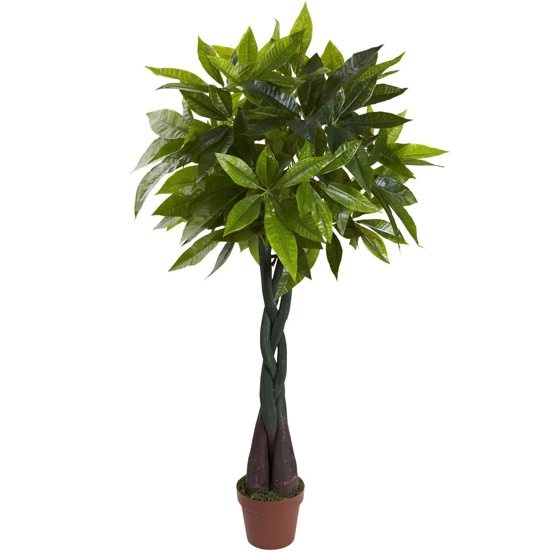 money plant dark green leaves 4' Money Plant (Real Touch)