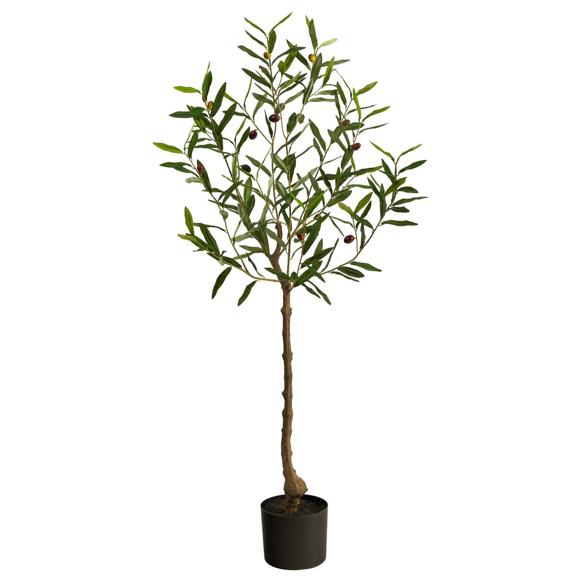 Faux Olive Tree Family Fake Olive Tree Collection Nearly Natural
