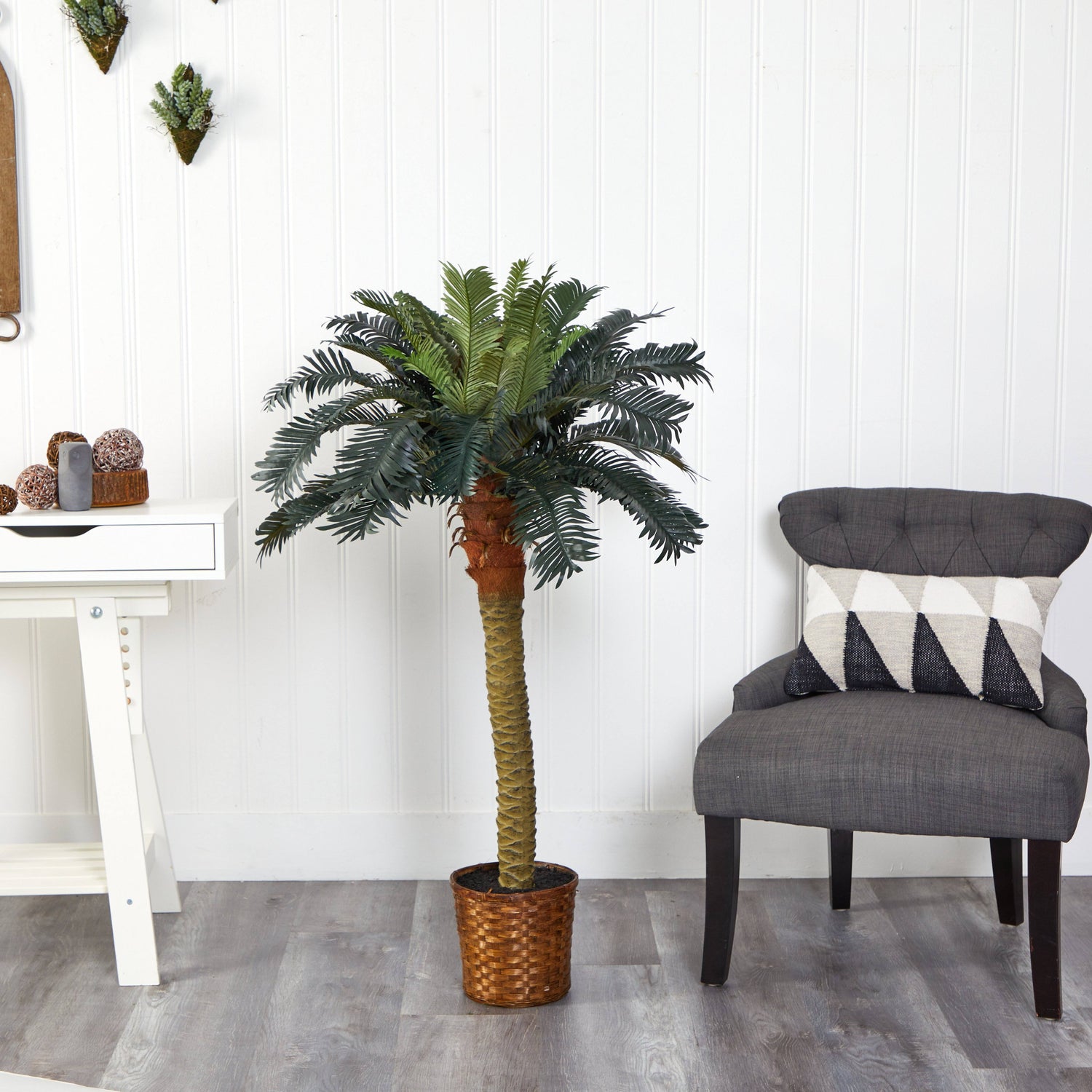 4' Sago Silk Palm Tree