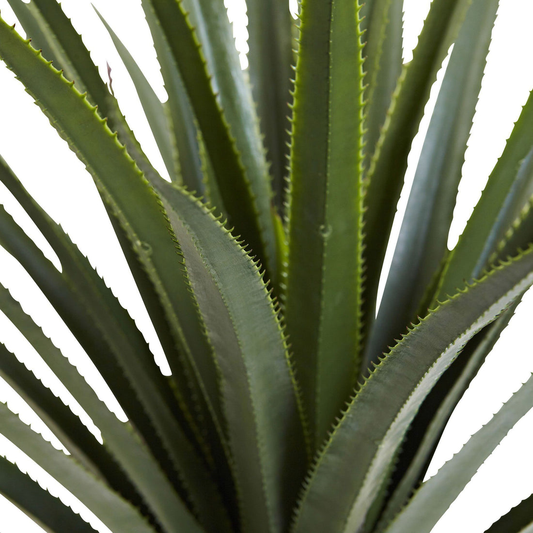 plastic agave plant 4' Spiked Agave Plant