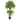 4’ Variegated Ficus Artificial Tree