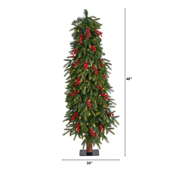 4’ Victoria Fir Christmas Tree