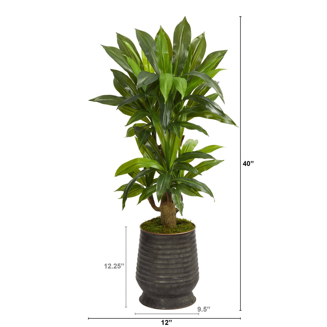 house plant that looks like corn stalk 40” Corn Stalk Dracaena Artificial Plant in Ribbed Metal Planter (Real Touch)