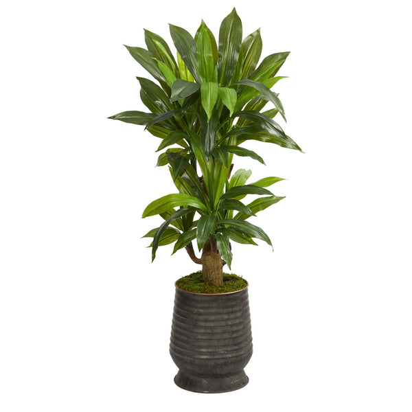 40” Corn Stalk Dracaena Artificial Plant in Ribbed Metal Planter (Real Touch)