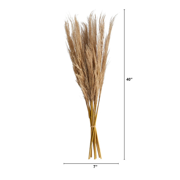40” Dried Natural Pampass Grass Bundle (Set of 2)