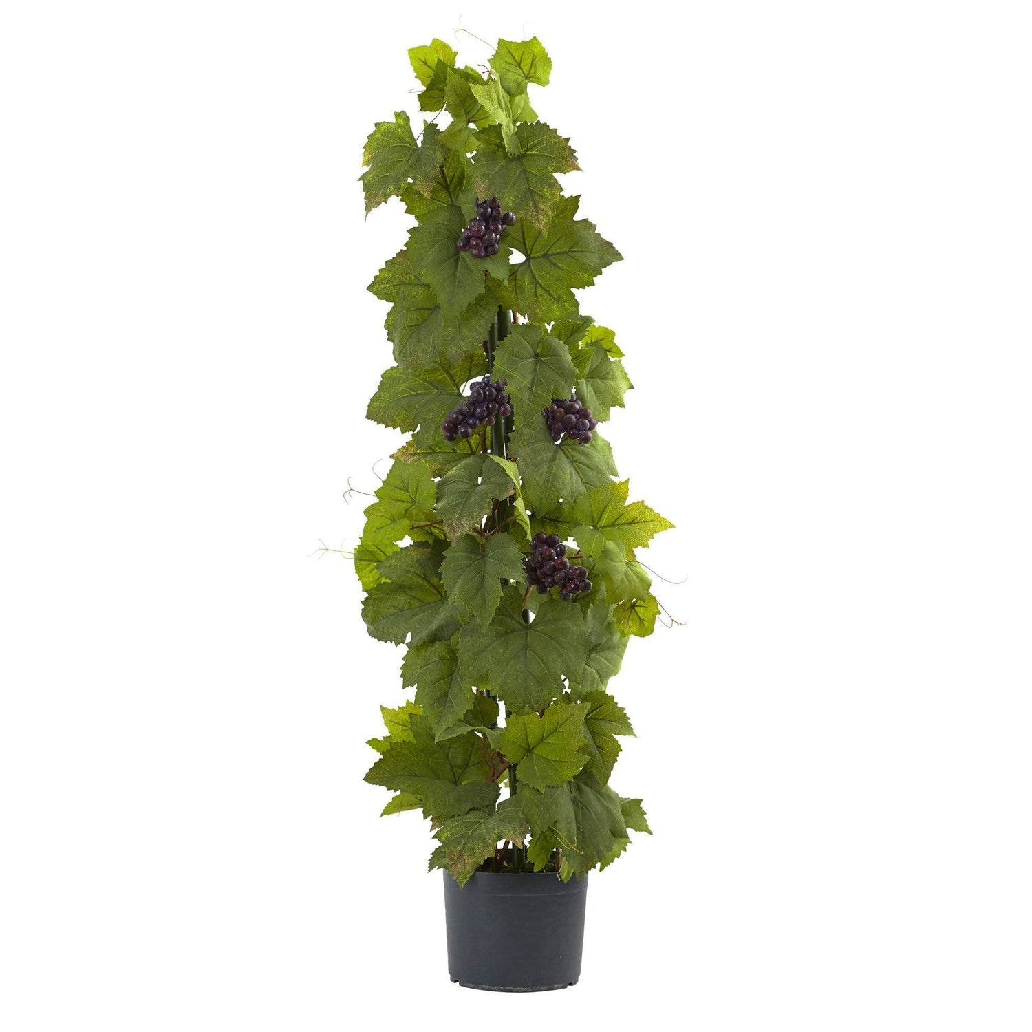 40" Grape Leaf Deluxe Climbing Plant