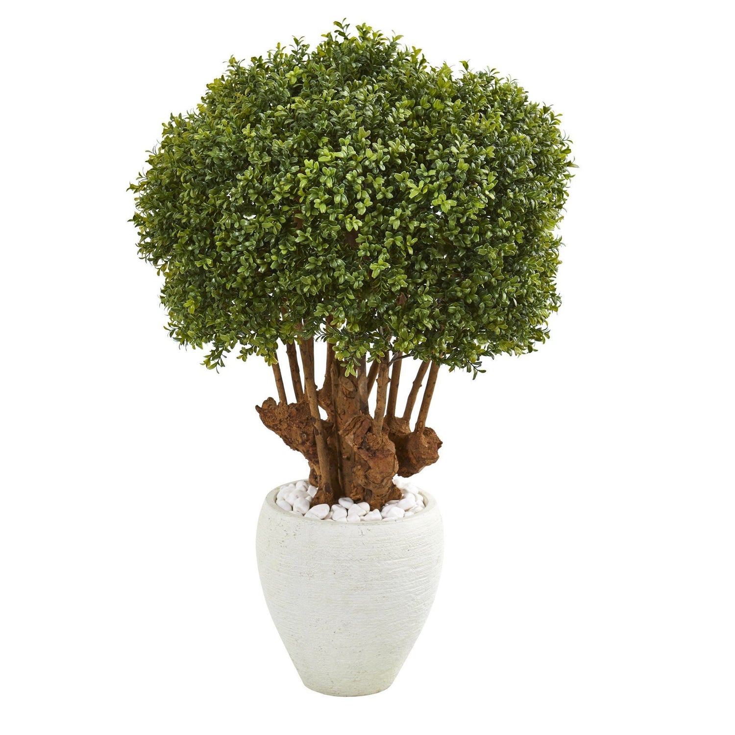 41” Boxwood Artificial Topiary Tree in White Planter (Indoor/Outdoor)