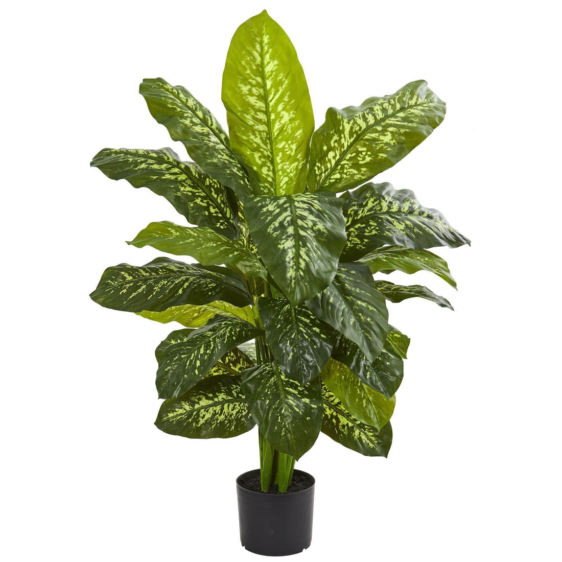 dieffenbachia artificial plant 42” Dieffenbachia Artificial Plant (Real Touch)