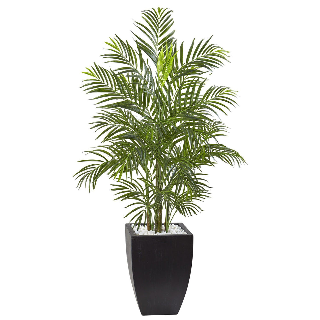 areca palm black lea 4.5' Areca Palm Tree with Black Wash Planter UV Resistant (Indoor/Outdoor)