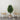 4.5' Artificial Ficus Tree with Double Trunk in a Handmade Cotton & Jute Basket DIY KIT