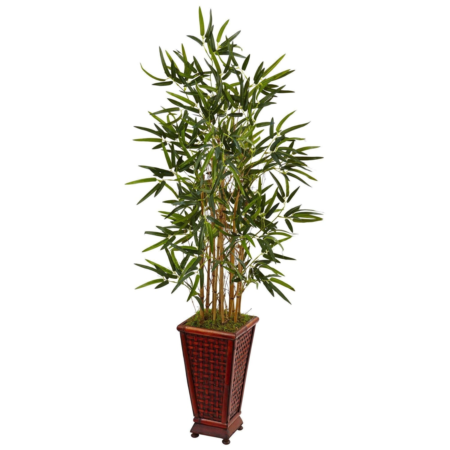 4.5’ Bamboo Tree in Decorative Planter