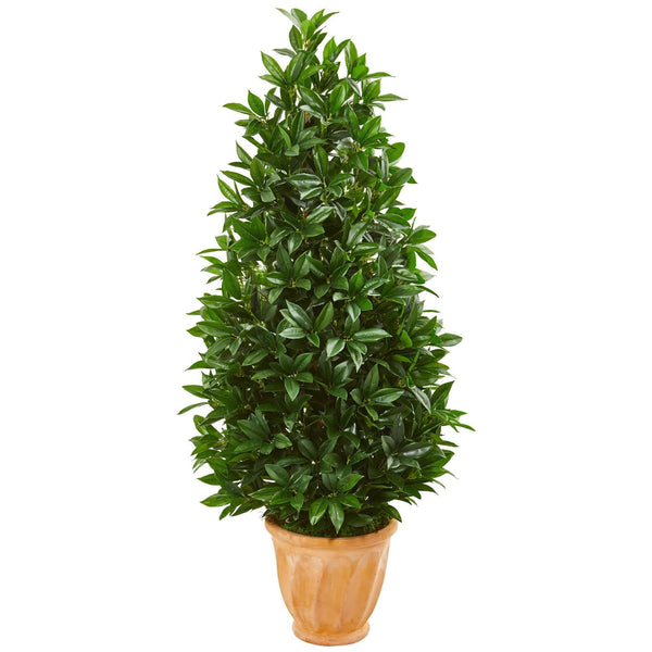 4.5’ Bay Leaf Cone Topiary Artificial Tree in Terra Cotta Planter(Indoor/Outdoor)