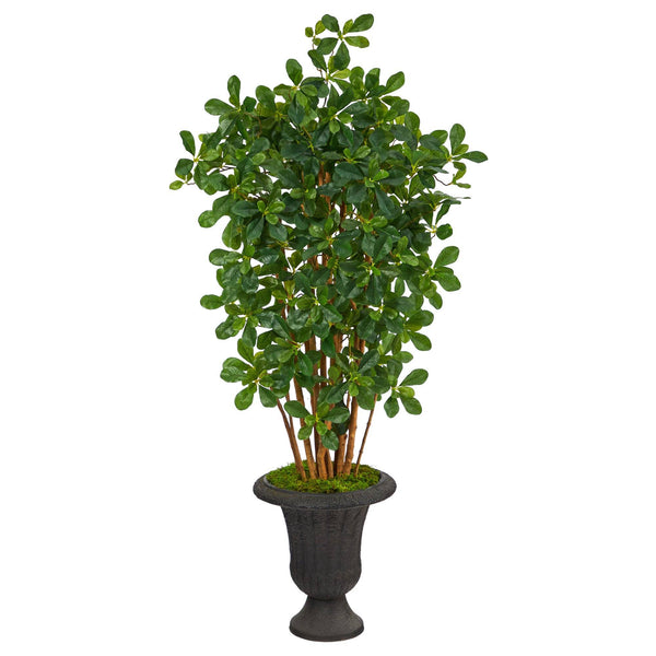 4.5’ Black Olive Artificial Tree in Charcoal Urn