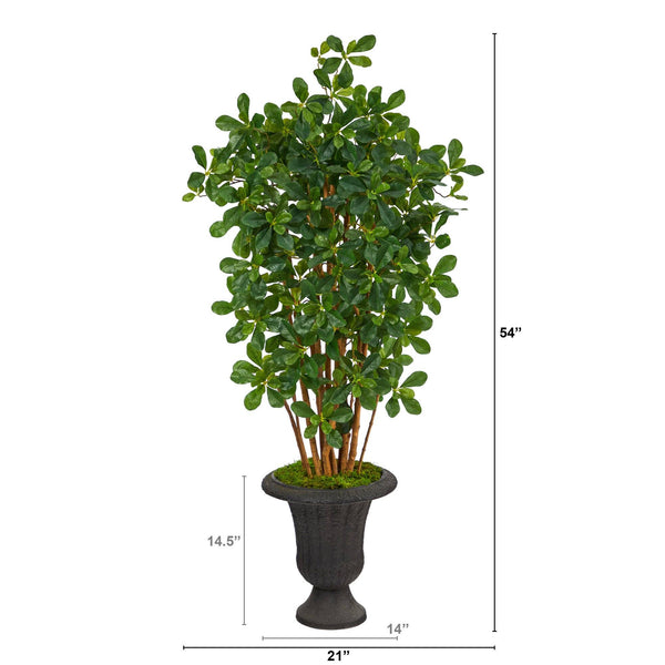 4.5’ Black Olive Artificial Tree in Charcoal Urn
