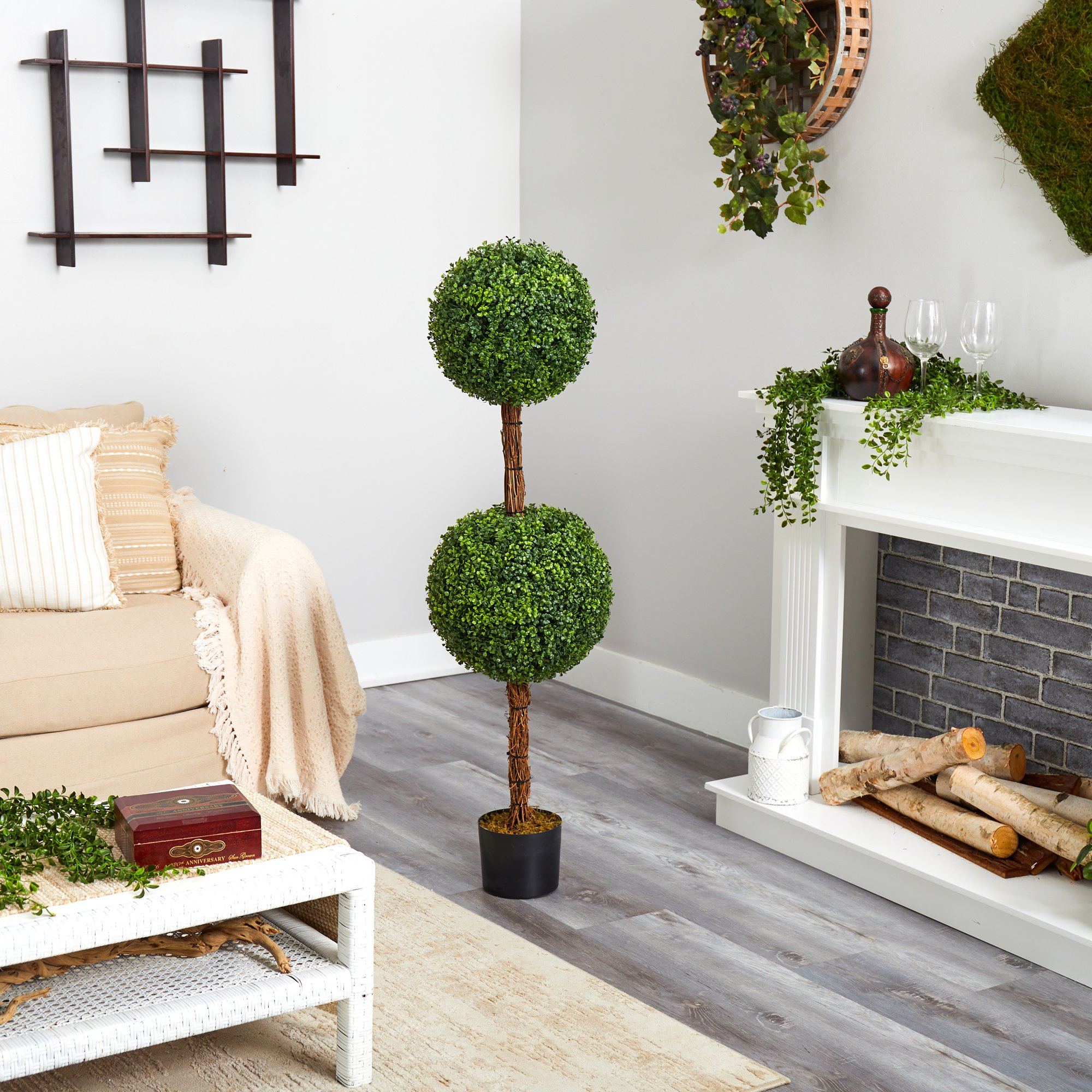 live boxwood topiary