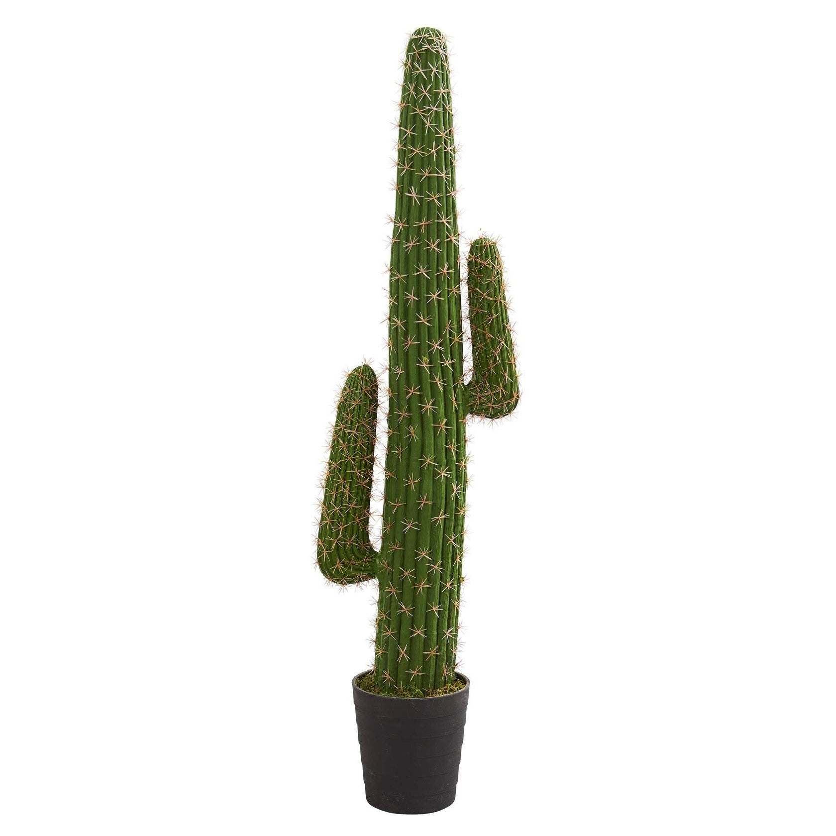 4.5’ Cactus Artificial Plant | Nearly Natural