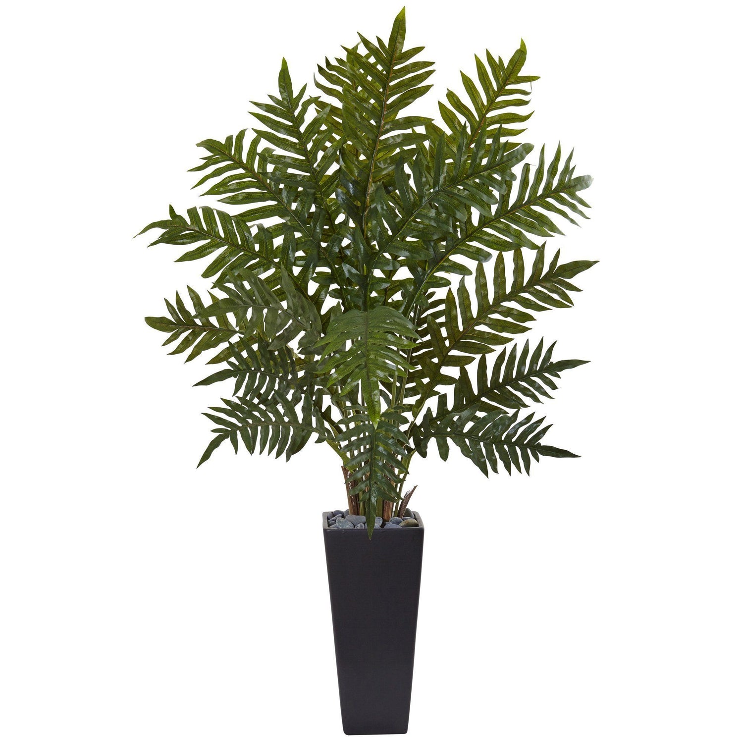 4.5’ Evergreen Plant in Black Planter
