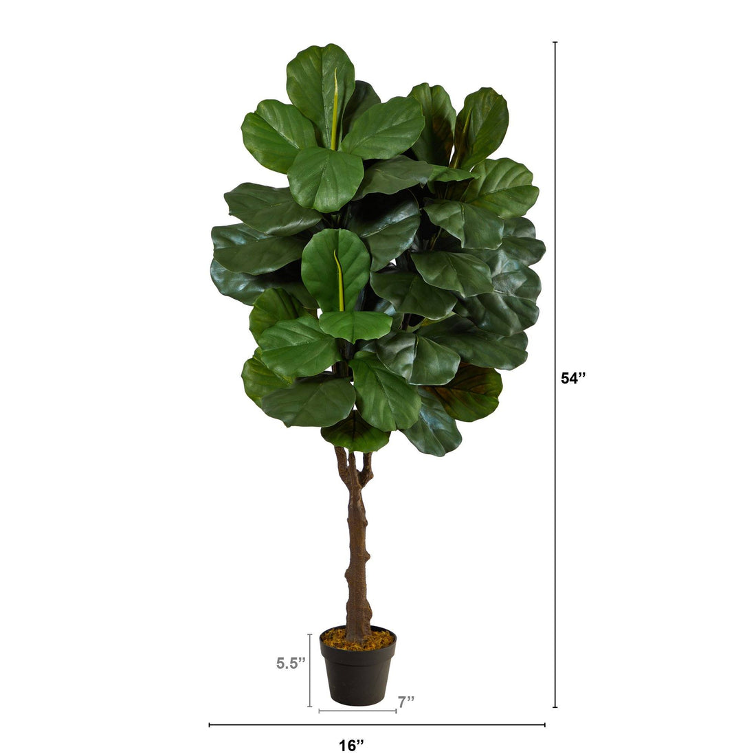 can you plant a fiddle leaf fig outdoors 4.5' Fiddle Leaf Fig Artificial Tree (Indoor/Outdoor)